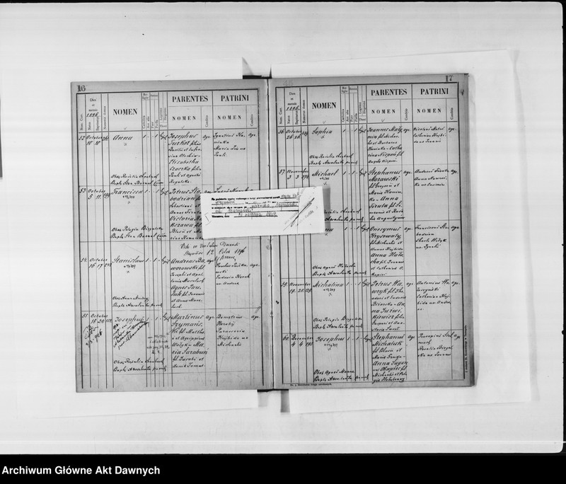 image.from.unit.number "Parafia: Grzymałów. Dekanat: Skałat. Księga metrykalna urodzeń tylko dla wsi Ostapie*. Tom III."