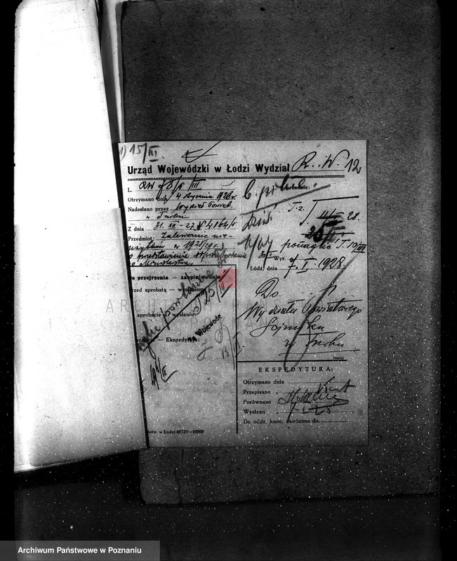 Obraz 16 z jednostki "Zalesienie nieużytków powiatu tureckiego"