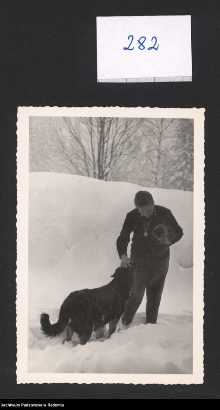 Obraz 1 z kolekcji "Niemiałka kolekcja111"