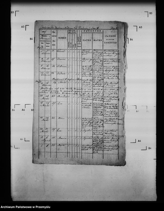 Obraz 5 z jednostki "[Kopie ksiąg metrykalnych parafii Królowa Ruska z filią Bogusza (dekanat Grybów)]"