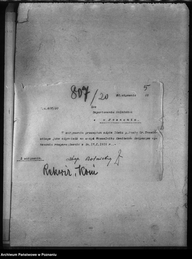 Obraz 9 z jednostki "Rekwizycje koni"