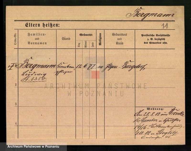 Obraz 13 z jednostki "Bergmann - Bernauer"