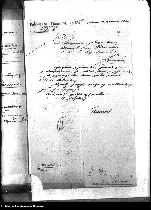 Obraz 15 z jednostki "Nosacizna - Koźmin"