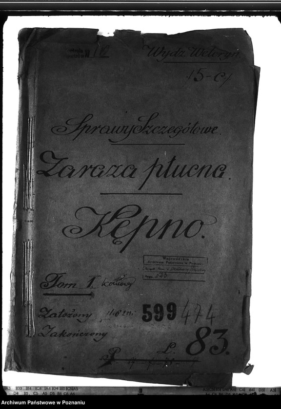 Obraz 4 z jednostki "Zaraza płucna - Kępno"