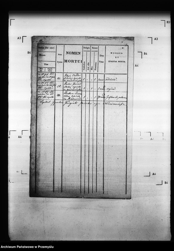 Obraz 19 z jednostki "[Kopie ksiąg metrykalnych parafii Niemirów z filiami Wólka Niemirowska i Przedmieście (dekanat Niemirów)]"