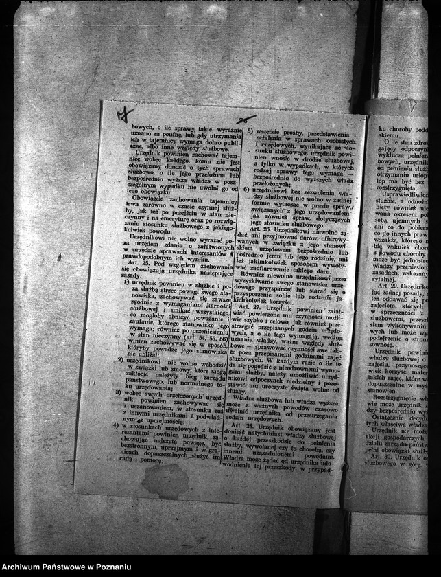 Obraz 11 z jednostki "Ubój zwierząt rzeźnych"