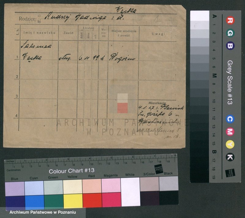 Obraz 5 z jednostki "Węcewicz - Wężykowski"