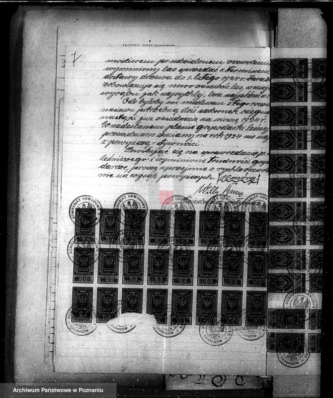 Obraz 11 z jednostki "Nadzór nad gospodarką w lasach majątku Osuch /Z. Busse/ w powiecie czarnkowskim"