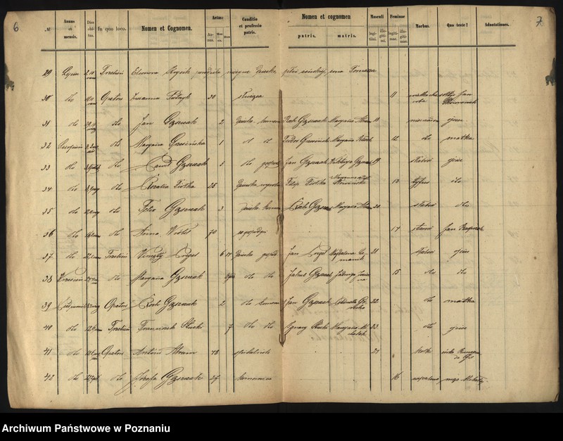 Obraz 6 z jednostki "Duplikat zmarłych"