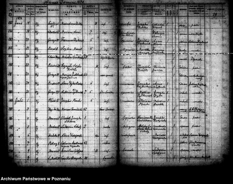 Obraz 13 z jednostki "Księga zgonów"