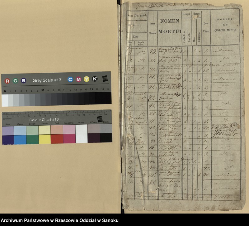 image.from.unit.number "Księga zgonów dla miejscowości Olchowce"