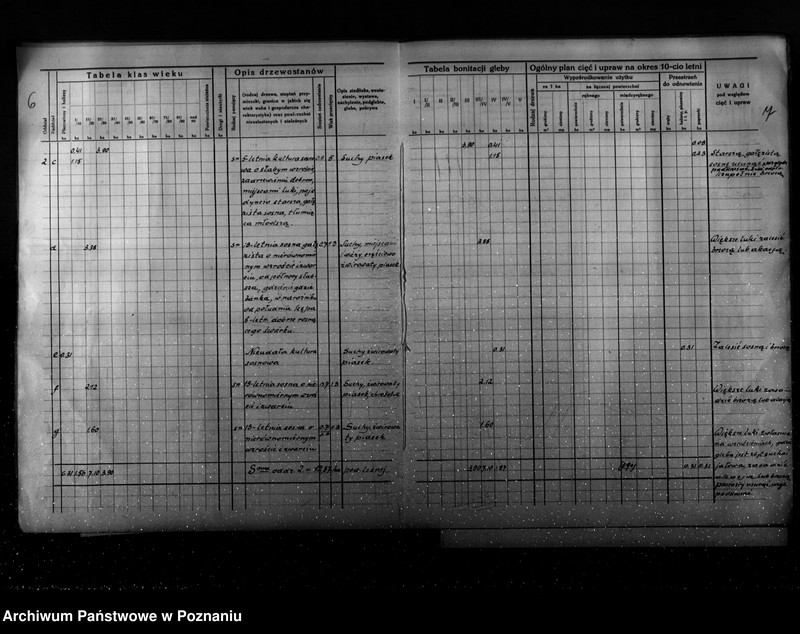 Obraz 9 z jednostki "Program urządzenia gospodarstwa leśnego dla lasu Ernesta Coelle w gminie Kołata powiat poznański 1935-1945"