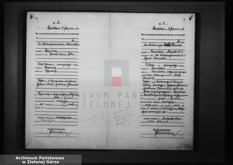 image.from.unit.number "Sterbe-Haupt-Register 1919"