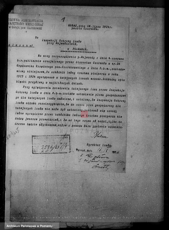 Obraz 5 z jednostki "Majętności leśne w Krucz-Goraju w powiecie czarnkowskim"