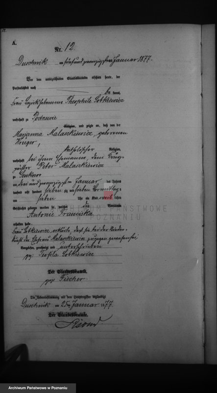 image.from.unit.number "Księga urodzeń"