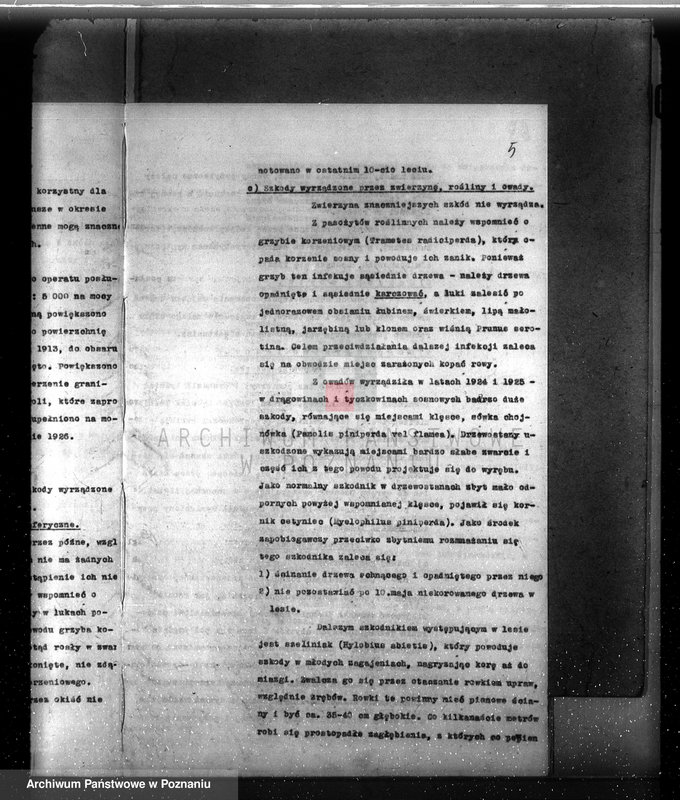 image.from.unit.number "Plan urządzenia gospodarstwa leśnego dla lasu majętności Myszkowo powiat szamotulski 1929-1939"