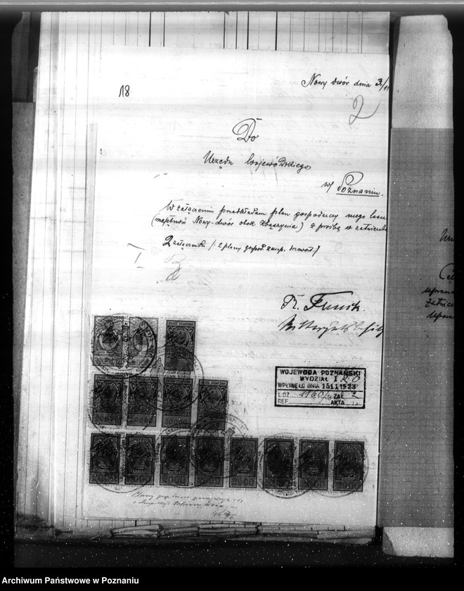 Obraz 17 z jednostki "Nadzór nad gospodarką w lasach majętności Nowy Dwór w powiecie nowotomyskim"