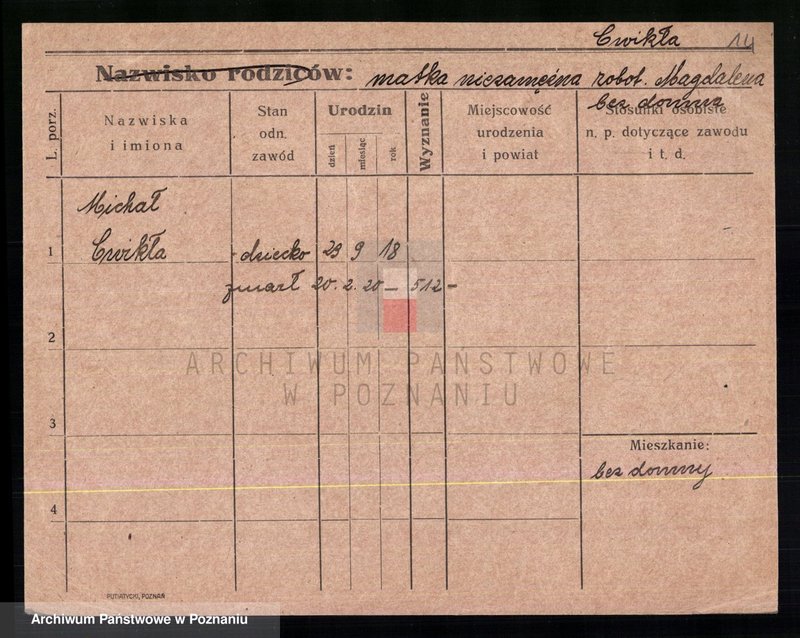 Obraz 16 z jednostki "Ćwikła - Cypliński"