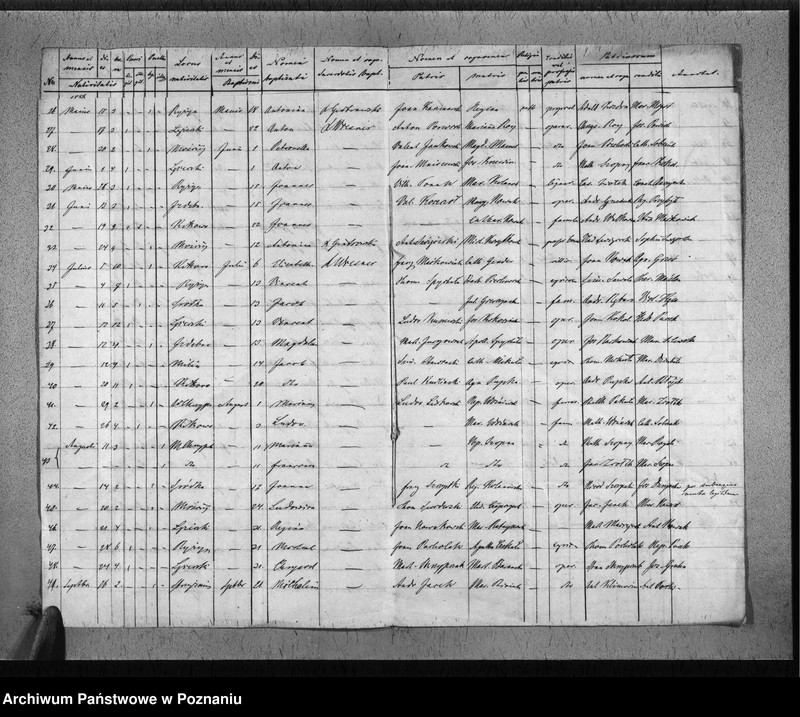 Obraz 5 z jednostki "Liber baptisatorum"