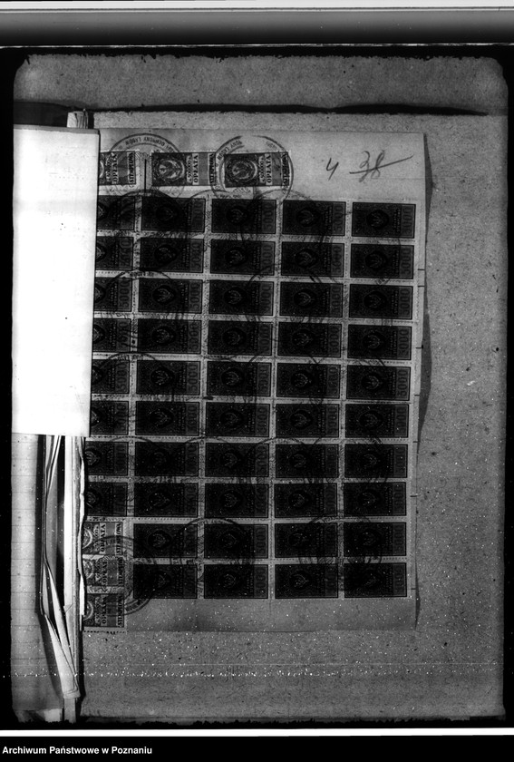 Obraz 8 z jednostki "Majętność /leśna/ Pępowo w powiecie gostyńskim"