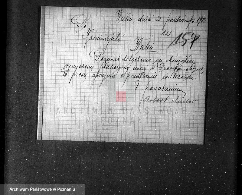 Obraz 16 z jednostki "/Nadzór nad lasami majętności Maciejewo w powiecie czarnkowskim/"