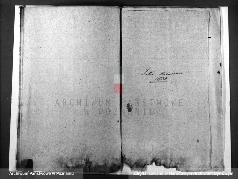 image.from.unit.number "Duplicatus baptisatorum, copulatorum, mortuorum"