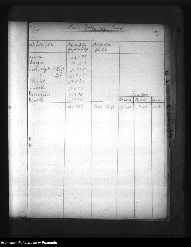 Obraz 17 z jednostki "Auszüge ausder Hauptübersicht des Bestandes der Liegenschaften (w poszczególnych powiatach Kraju Warty)"