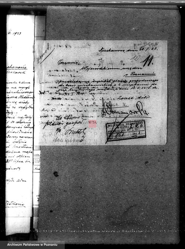 Obraz 15 z jednostki "Majętność /leśna/ Ni echanowo w powiecie gnieźnieńskim"