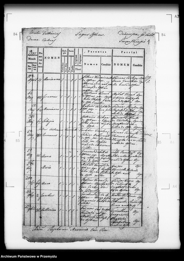 Obraz 5 z jednostki "[Kopie ksiąg metrykalnych parafii Boratyn z filią Ostrów (dekanat Bełz)]"