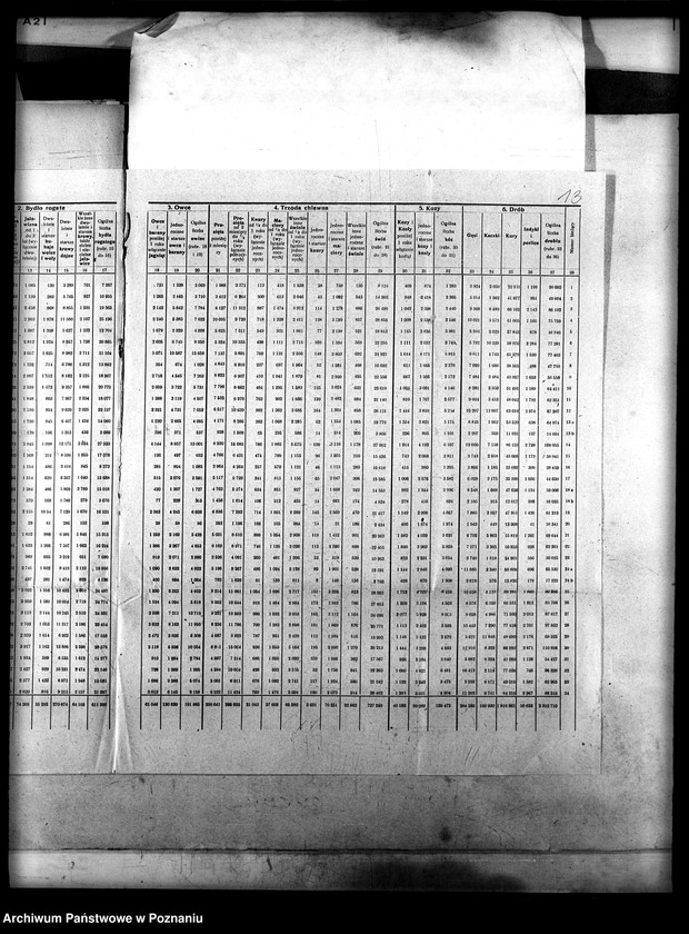 image.from.unit.number "Statystyka inwentarza żywego"