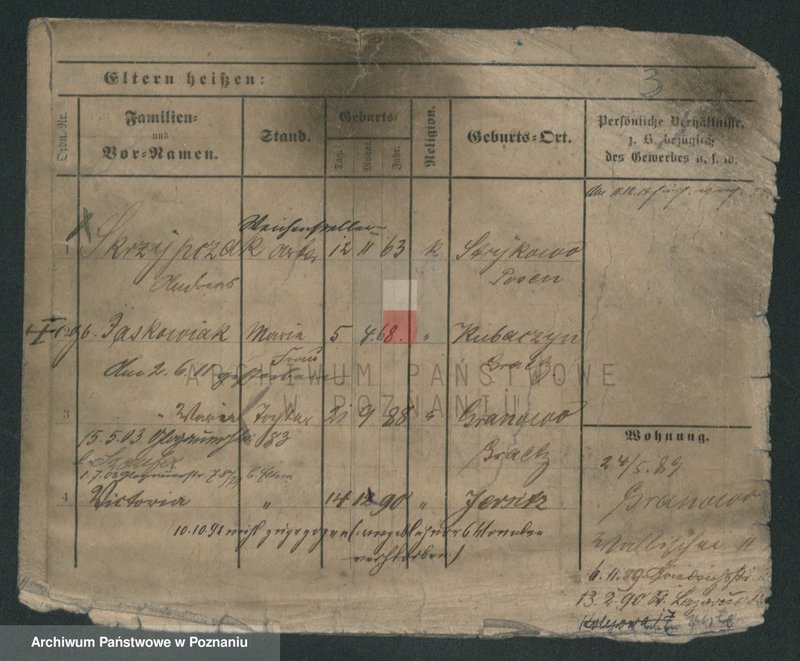 Obraz 9 z jednostki "Skrzypczak (żonaci - samotni mężczyźni)"