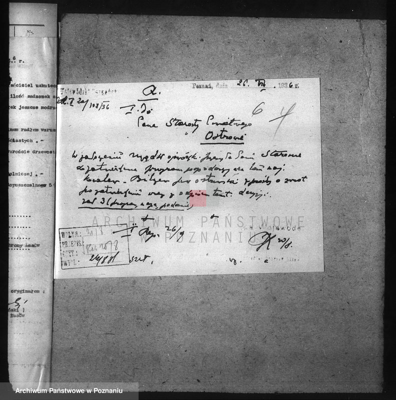 Obraz 11 z jednostki "Nadzór nad gospodarką w lasach majątku Billczew-Kowalew powiat obornicki"