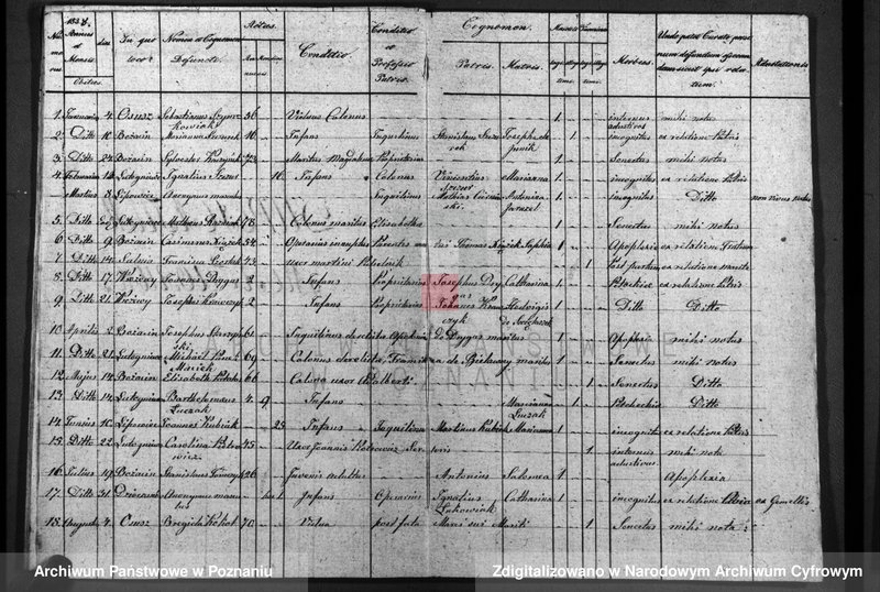 image.from.unit.number "Duplicatum baptisatorum, copulatorum, mortuorum"