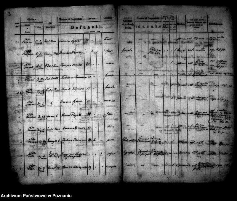 Obraz 3 z jednostki "Księga zgonów"