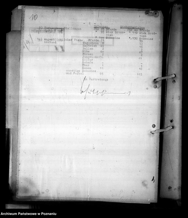 Obraz 14 z jednostki "Lehrgut für die Veteriärverwaltung"