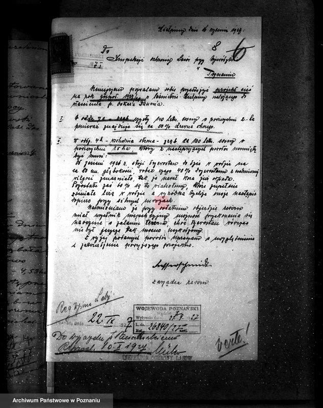 Obraz 13 z jednostki "Majętność leśna Kiełpiny powiat wolsztyński"