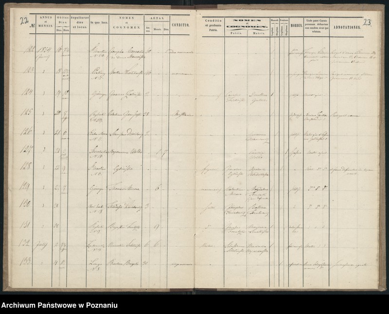 Obraz 14 z jednostki "Księga zgonów"