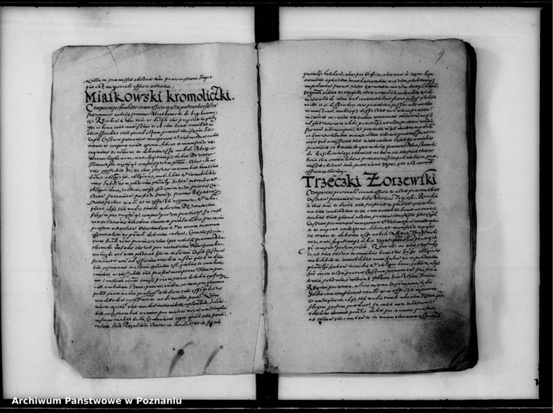 Obraz 11 z jednostki "Inscriptiones, relationes [inducta]"