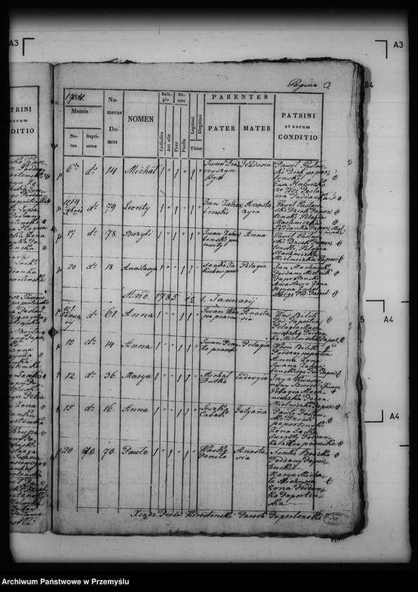 image.from.unit.number "[Kopie ksiąg metrykalnych parafii Paportno z filią Sopotnik i Kropiwnik (dekanat Dobromil)]"