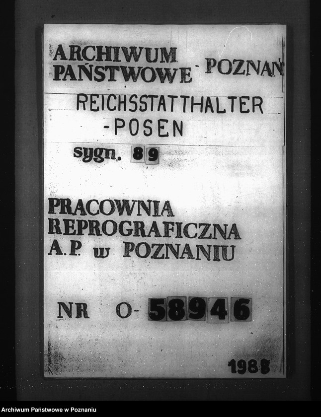 Obraz 1 z jednostki "Podziały czynności w wydziałach oraz przybudówkach urzędu namiestnika"