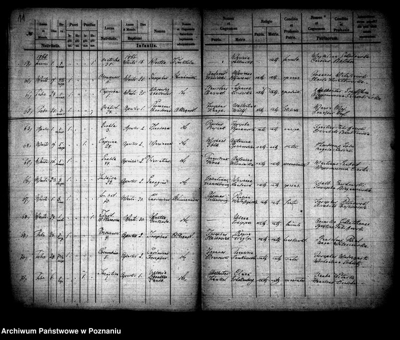 Obraz 7 z jednostki "Księga urodzin"