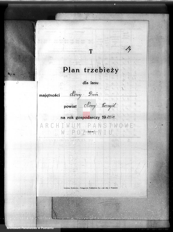 Obraz 18 z jednostki "Plan urządzenia gospodarstwa leśnego dla lasu majętności Nowy Dwór w powiecie nowotomyskim 1930-1940"