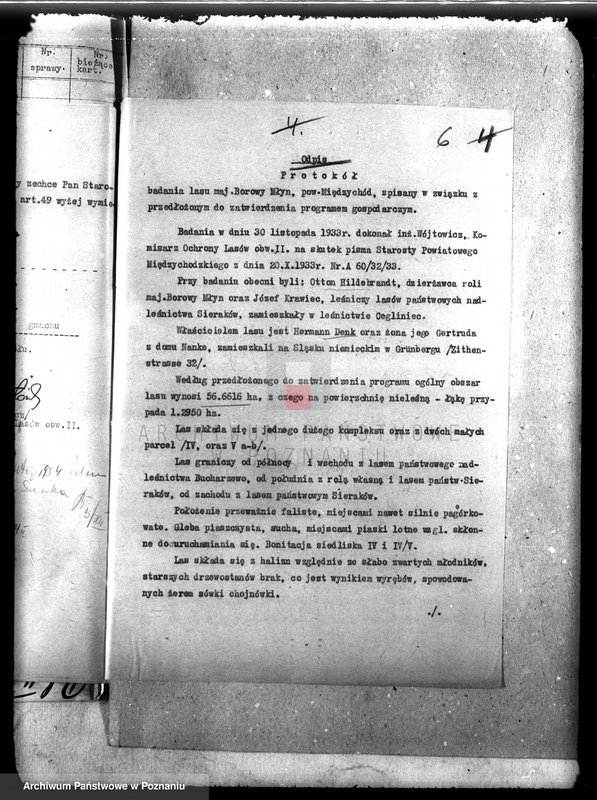 Obraz 10 z jednostki "Las majątku Borowy Młyn powiat międzychodzki"