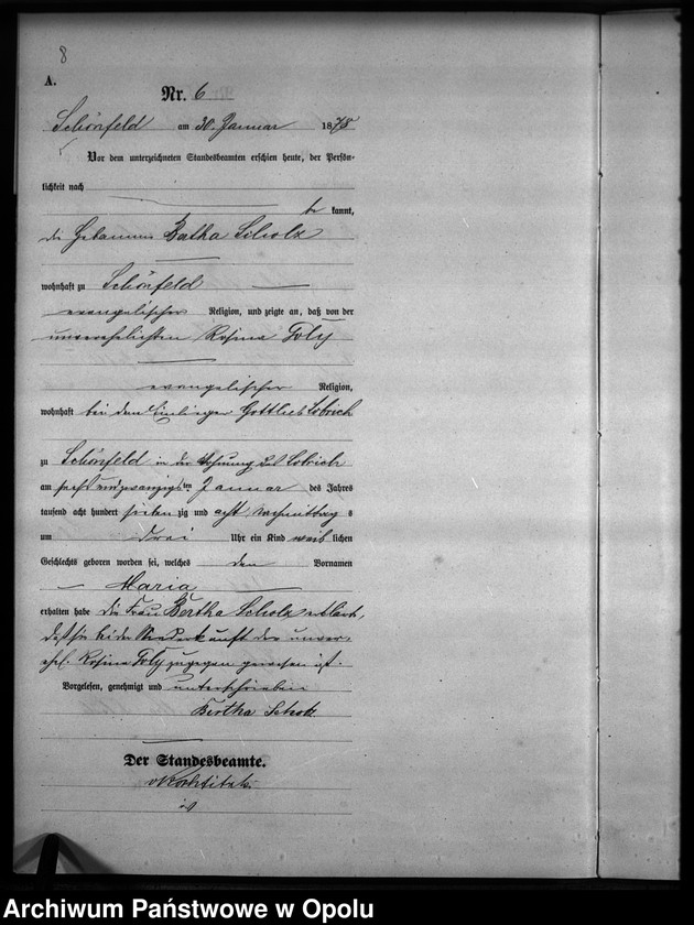 Obraz 9 z jednostki "Geburts-Haupt-Register Standesamts Schönfeld pro 1878"