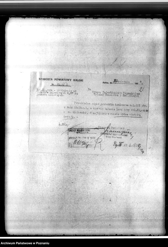 Obraz 6 z jednostki "Gmina Zbiersk powiat kaliski"