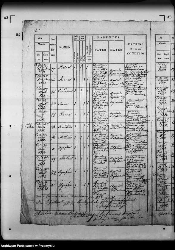 Obraz 6 z jednostki "[Kopie ksiąg metrykalnych parafii Rajtarowice z filiami Rogóźno, Sadkowice (dekanat Mościska)]"