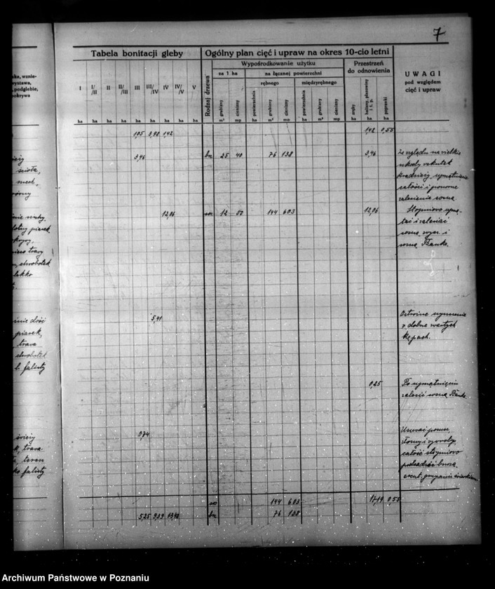 Obraz 11 z jednostki "Program urządzenia gospodarstwa leśnego dla lasu majątku Borowy-Młyn w powiecie międzychodzkim/"
