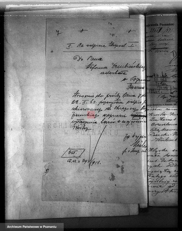 Obraz 11 z jednostki "Majętność leśna w Kwilczu w powiecie międzychodzkim"