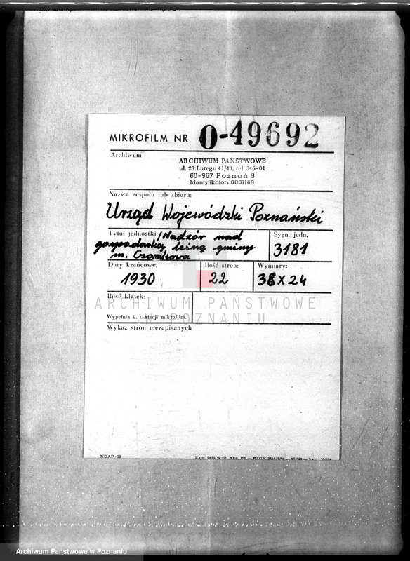 Obraz 2 z jednostki "/Nadzór nad gospodarką leśną gminy miasta Czarnkowa"