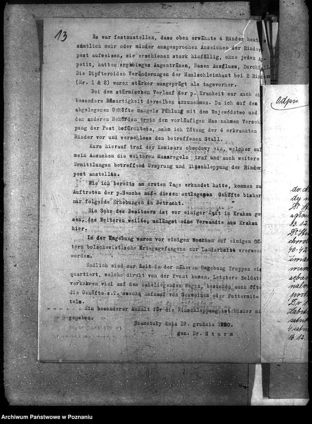 Obraz 17 z jednostki "Księgosusz - Szamotuły"